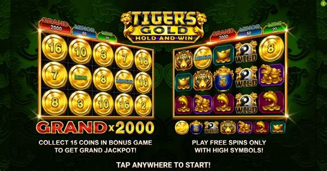 Игровой автомат Tigers Gold Hold and Win  играть бесплатно